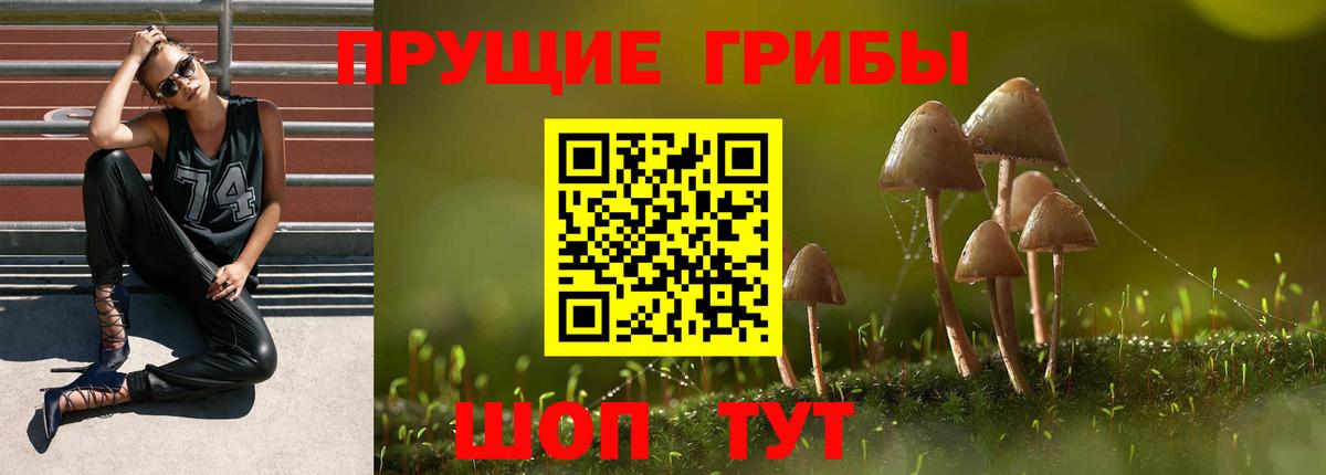 Галлюциногенные грибы ЛСД  Вход с VPN  Новодвинск 
